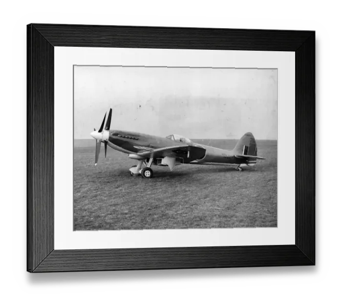 Framed Print : Supermarine Seafire F46 LA541 Framed Print : Supermarine Seafire F46 LA541