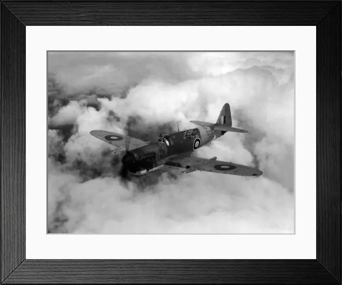 Framed Print : Fairey Firefly 1 Z2117 Framed Print : Fairey Firefly 1 Z2117