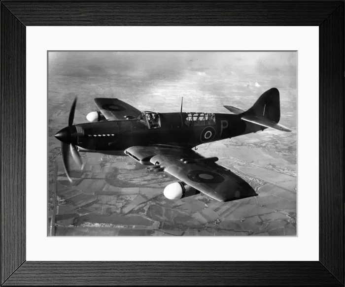 Framed Print : Fairey Firefly 1 Z2118 after conversion Framed Print : Fairey Firefly 1 Z2118 after conversion