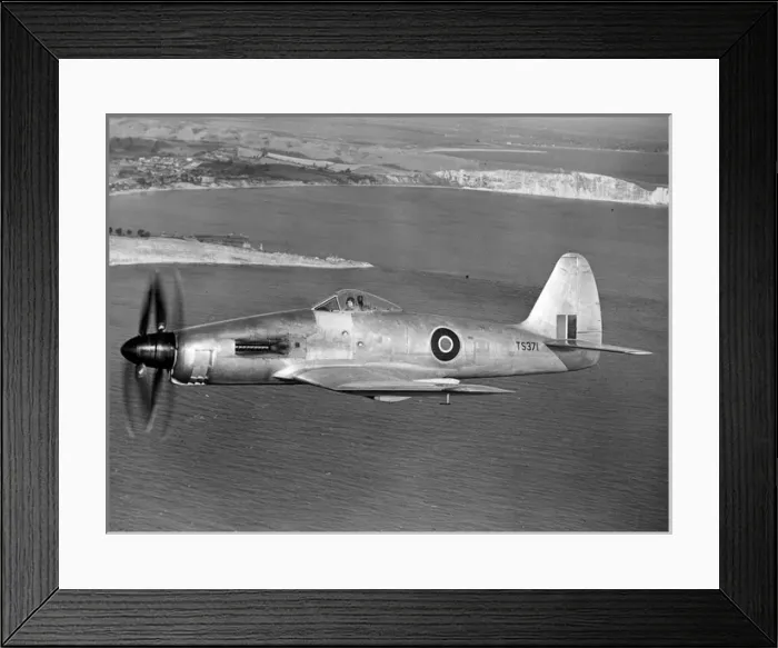 Framed Print : The Rolls-Royce Eagle-powered Westland Wyvern TF1 Framed Print : The Rolls-Royce Eagle-powered Westland Wyvern TF1