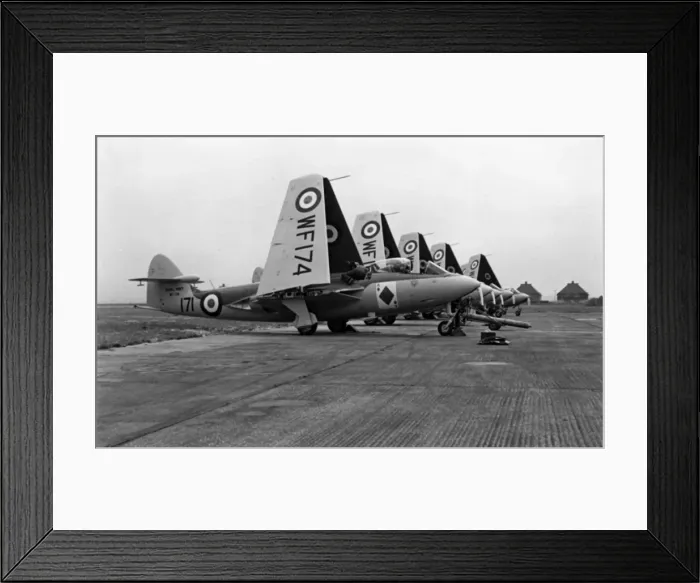 Framed Print : A line-up of Hawker Sea Hawk Is with wings folded Framed Print : A line-up of Hawker Sea Hawk Is with wings folded