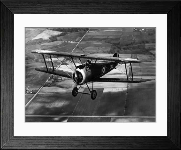 Framed Print : Sopwith F1 Camel in flight Framed Print : Sopwith F1 Camel in flight