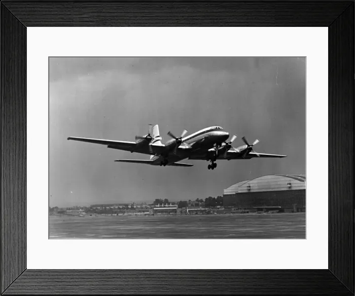 Framed Print : Bristol Britannia 100 G-ALBO Framed Print : Bristol Britannia 100 G-ALBO