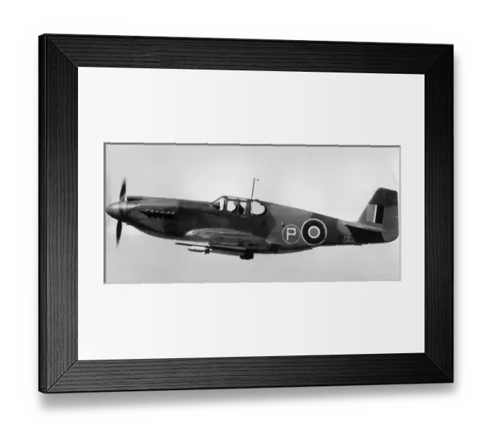 Framed Print : North American Mustang I AG357 Framed Print : North American Mustang I AG357