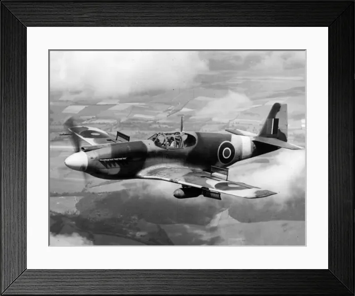 Framed Print : North American Mustang I Framed Print : North American Mustang I