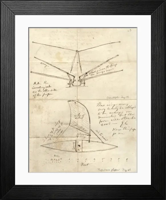 Framed Print : Sir George Cayleys drawings Framed Print : Sir George Cayleys drawings