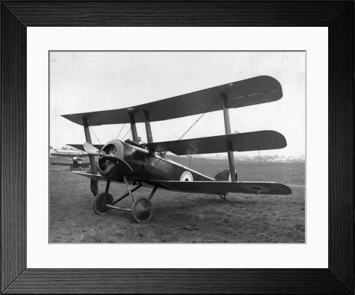 Framed Print : A standard production Sopwith Triplane at Farnborough Framed Print : A standard production Sopwith Triplane at Farnborough