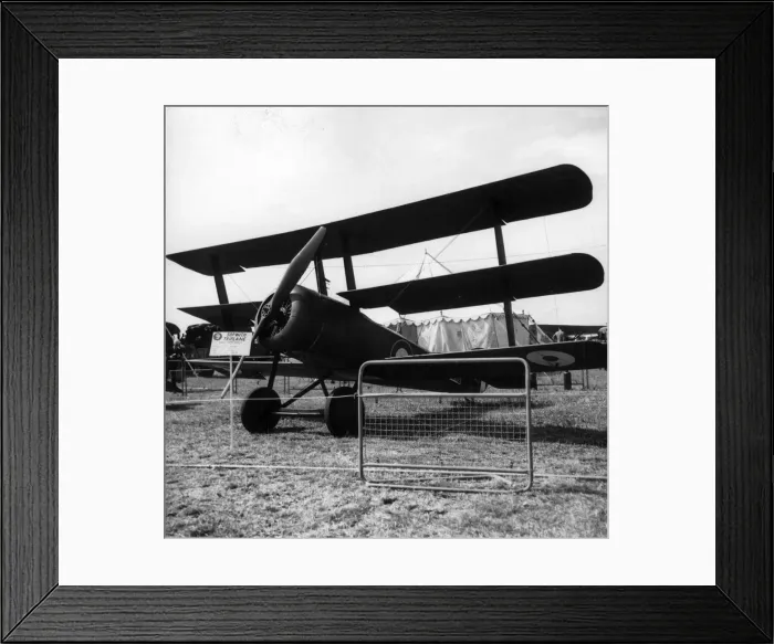 Framed Print : Sopwith Triplane N5912 at the 50 years of flying display Framed Print : Sopwith Triplane N5912 at the 50 years of flying display