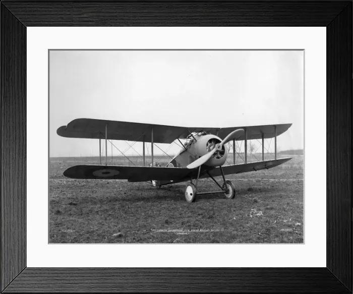Framed Print : Sopwith TF2 Salamander production version Framed Print : Sopwith TF2 Salamander production version