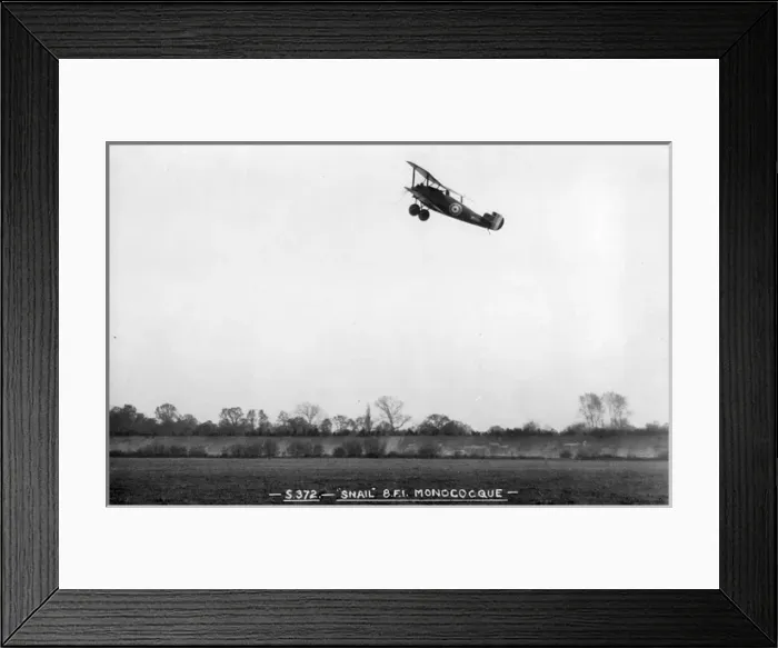Framed Print : Sopwith 8F1 Snail Framed Print : Sopwith 8F1 Snail
