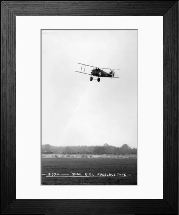 Framed Print : Sopwith 8F1 Snail C4284 Framed Print : Sopwith 8F1 Snail C4284