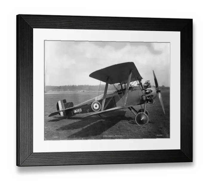 Framed Print : The first Sopwith Snapper F7031 April 1919