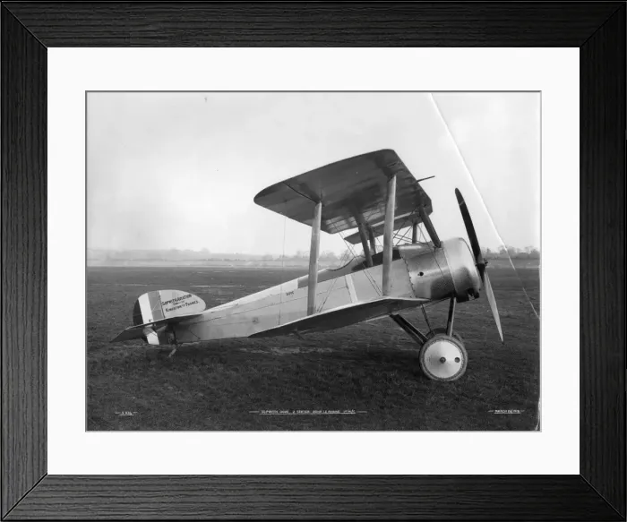 Framed Print : The first Sopwith Dove sporting two-seater Framed Print : The first Sopwith Dove sporting two-seater