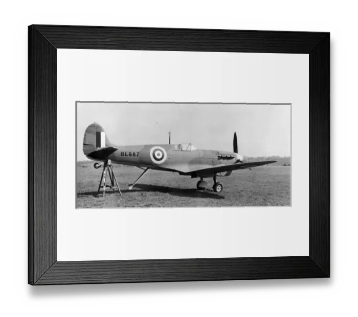 Framed Print : Supermarine Seafire IB BL687 Framed Print : Supermarine Seafire IB BL687