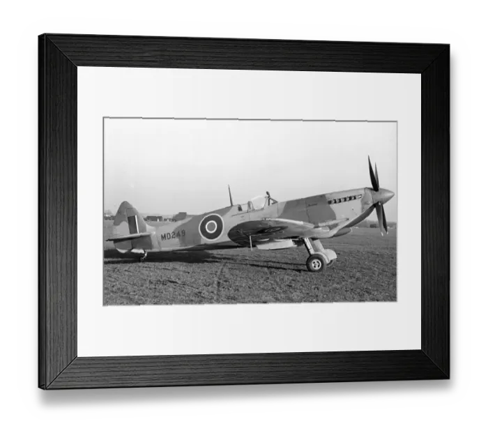 Framed Print : Supermarine Spitfire VIII MD249 Framed Print : Supermarine Spitfire VIII MD249