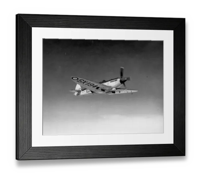 Framed Print : Supermarine Seafire XVII SX194 Framed Print : Supermarine Seafire XVII SX194