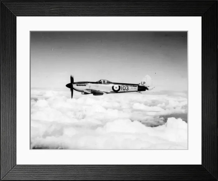 Framed Print : Supermarine Seafire XVII SX194 Framed Print : Supermarine Seafire XVII SX194