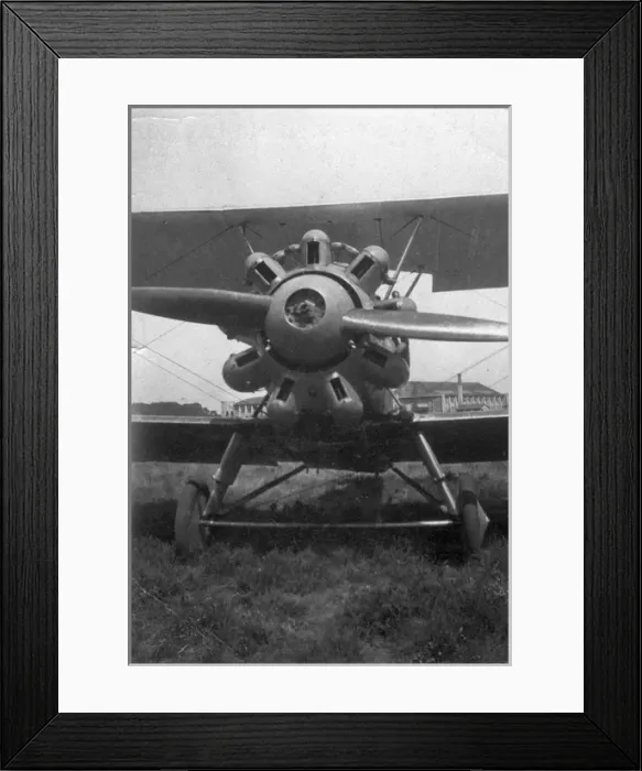 Framed Print : Hawker Woodcock II Framed Print : Hawker Woodcock II