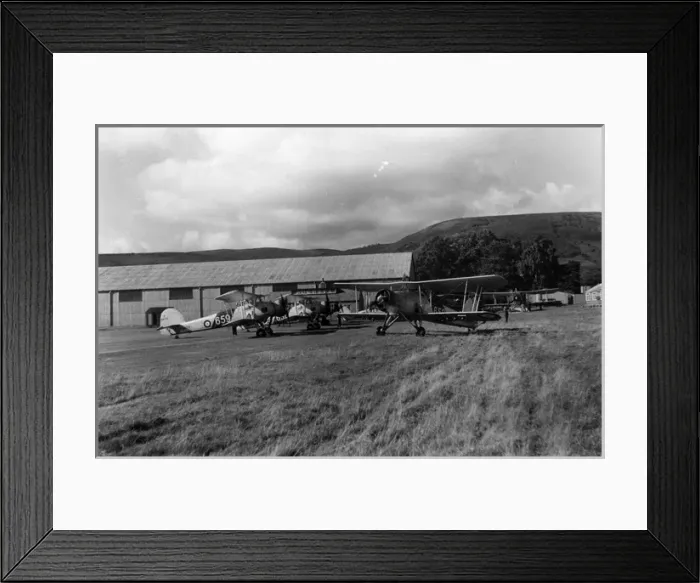Framed Print : Fairey Swordfish Is Framed Print : Fairey Swordfish Is