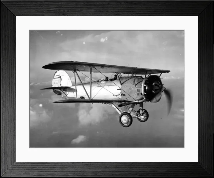 Framed Print : Persian Hawker Audax Framed Print : Persian Hawker Audax