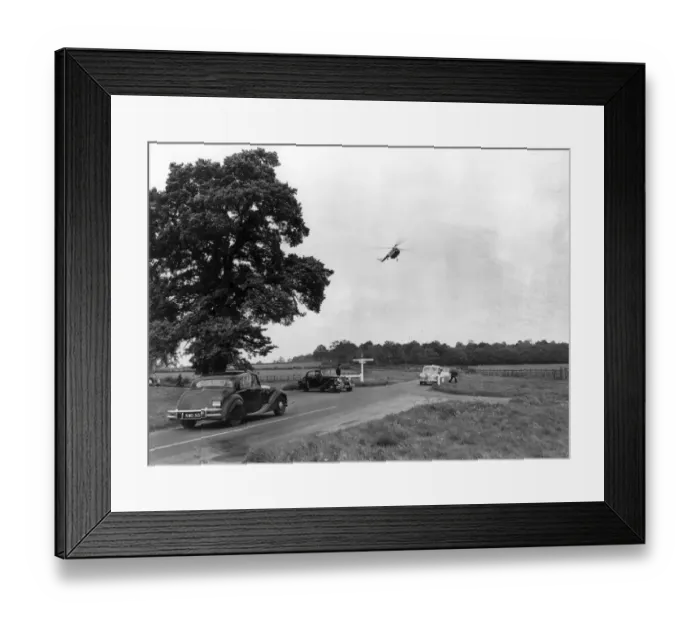 Framed Print : Bristol Sycamore assisting the police to catch car thieves Framed Print : Bristol Sycamore assisting the police to catch car thieves