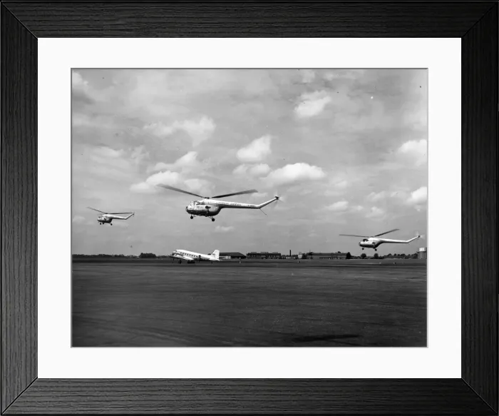 Framed Print : Three Bristol Sycamores (a Mk3 and two Mk3As) Framed Print : Three Bristol Sycamores (a Mk3 and two Mk3As)