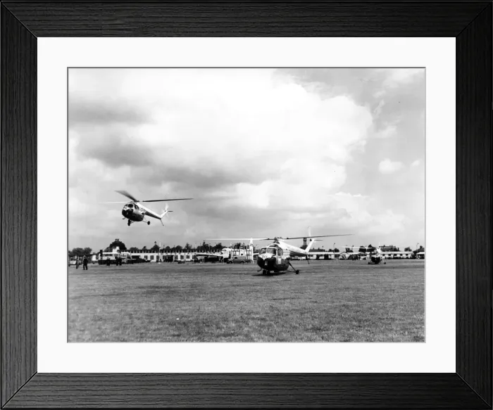 Framed Print : Three Bristol Sycamores (a Mk3 and two Mk3As) Framed Print : Three Bristol Sycamores (a Mk3 and two Mk3As)