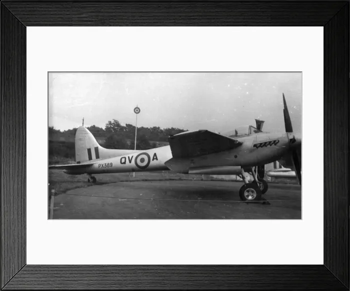 Framed Print : de Havilland Hornet F3 PX389 Framed Print : de Havilland Hornet F3 PX389