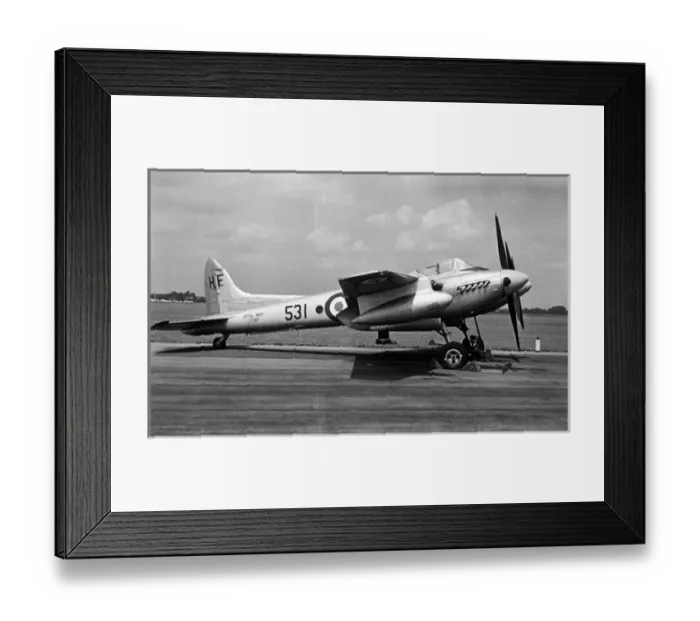 Framed Print : de Havilland Sea Hornet F20 TT197 Framed Print : de Havilland Sea Hornet F20 TT197