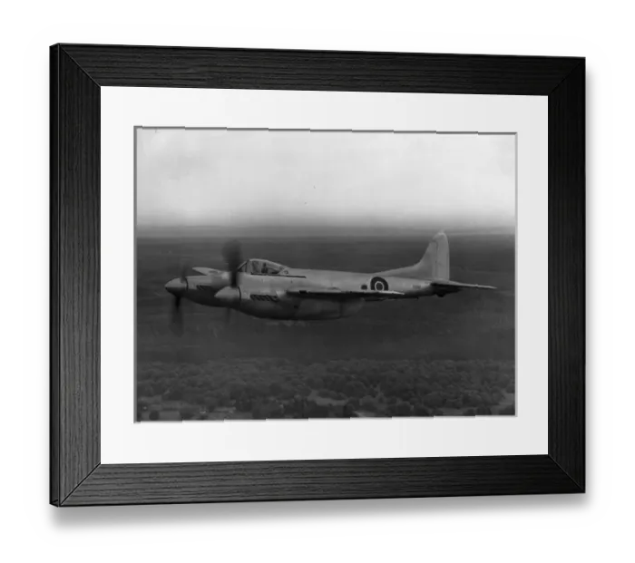Framed Print : de Havilland Sea Hornet F20 TT202 Framed Print : de Havilland Sea Hornet F20 TT202