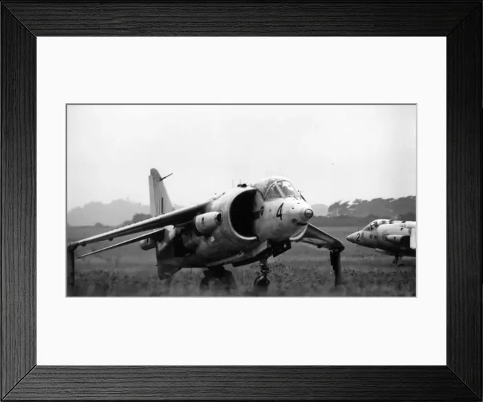 Framed Print : Hawker Siddeley Kestrel FGA1s Framed Print : Hawker Siddeley Kestrel FGA1s