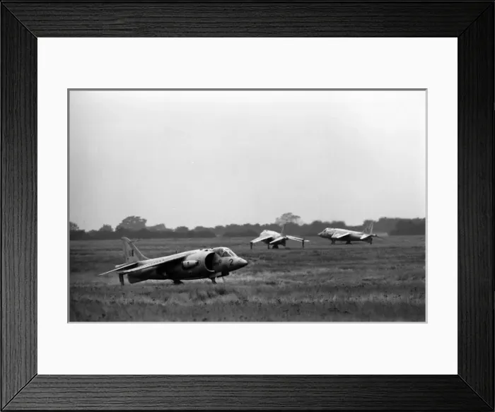 Framed Print : Hawker Siddeley Kestrel FGA1s Framed Print : Hawker Siddeley Kestrel FGA1s