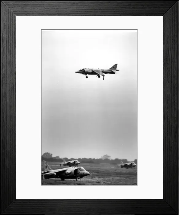 Framed Print : Hawker Siddeley Kestrel FGA1s Framed Print : Hawker Siddeley Kestrel FGA1s
