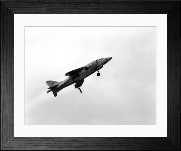 Framed Print : Hawker Siddeley Kestrel FGA1 XS695 Framed Print : Hawker Siddeley Kestrel FGA1 XS695