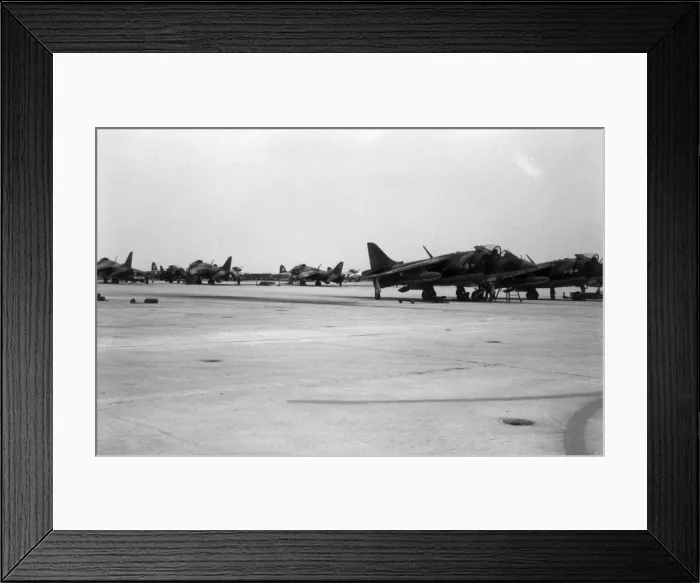 Framed Print : Hawker Siddeley Harrier AV-8As Framed Print : Hawker Siddeley Harrier AV-8As