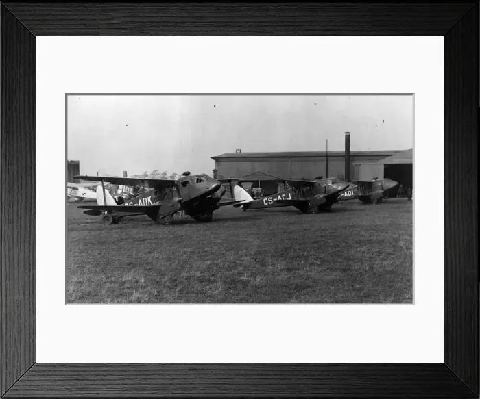 Framed Print : Three de Havilland DH89 Dragon Rapides CS-ADI CS-ADJ Framed Print : Three de Havilland DH89 Dragon Rapides CS-ADI CS-ADJ