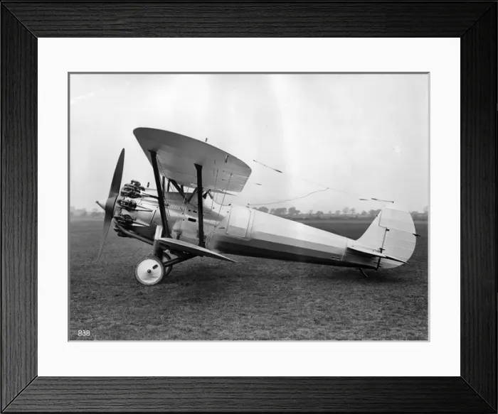 Framed Print : Bristol Bulldog II (American) 1929 Framed Print : Bristol Bulldog II (American) 1929