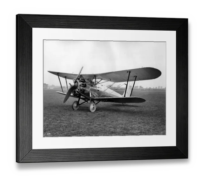 Framed Print : Bristol Bulldog II (American) 1929