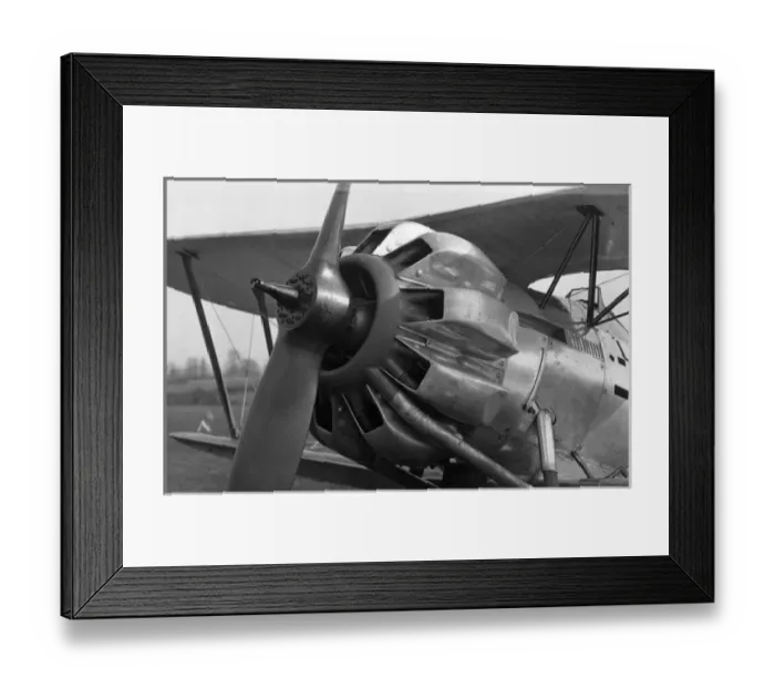 Framed Print : Bristol Bulldog II J9591 in use as a Mercury testbed Framed Print : Bristol Bulldog II J9591 in use as a Mercury testbed