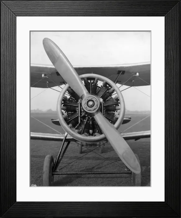 Framed Print : Bristol Bulldog IVA K4292 Framed Print : Bristol Bulldog IVA K4292