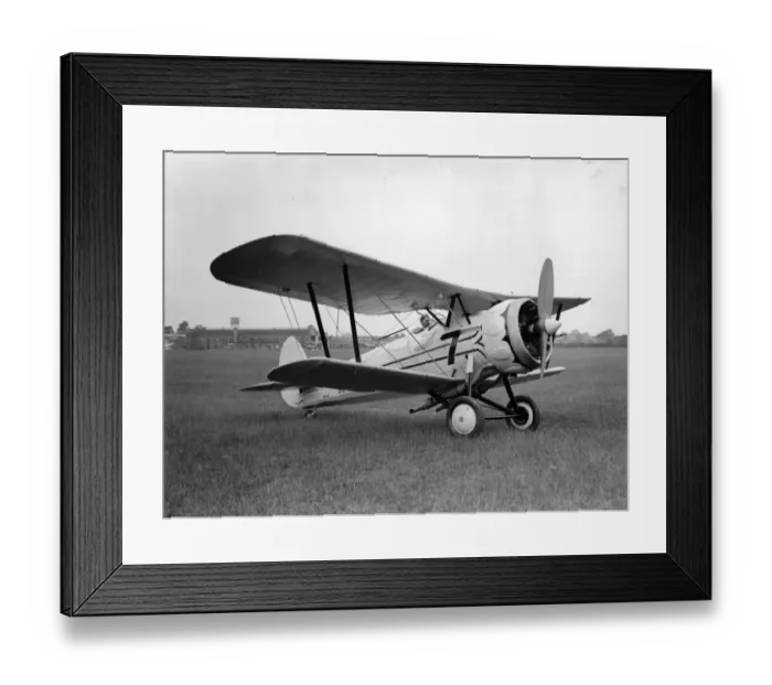 Framed Print : Bristol Bulldog IVA R-8 fitted with Perseus IA radial Framed Print : Bristol Bulldog IVA R-8 fitted with Perseus IA radial