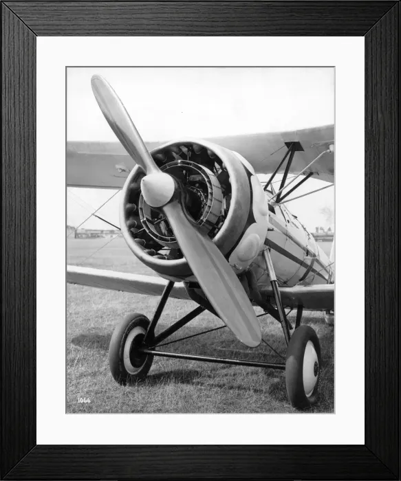 Framed Print : Bristol Bulldog IVA R-8 fitted with Perseus IA radial