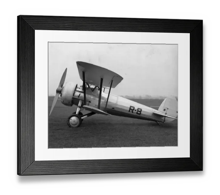 Framed Print : Bristol Bulldog IVA R-8 fitted with Perseus IA radial Framed Print : Bristol Bulldog IVA R-8 fitted with Perseus IA radial