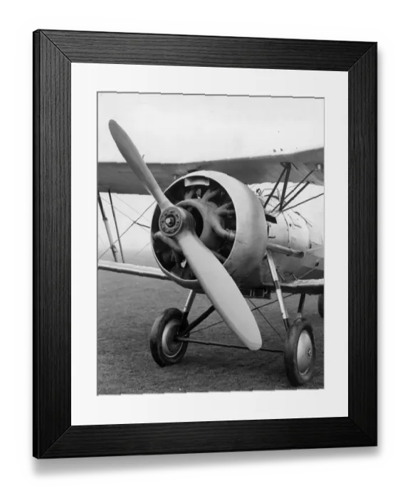 Framed Print : Bristol Bulldog IVA R-8 fitted with Perseus IA radial Framed Print : Bristol Bulldog IVA R-8 fitted with Perseus IA radial
