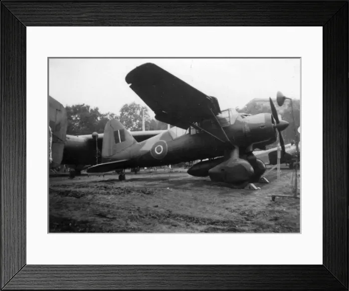 Framed Print : Westland Lysander III Framed Print : Westland Lysander III