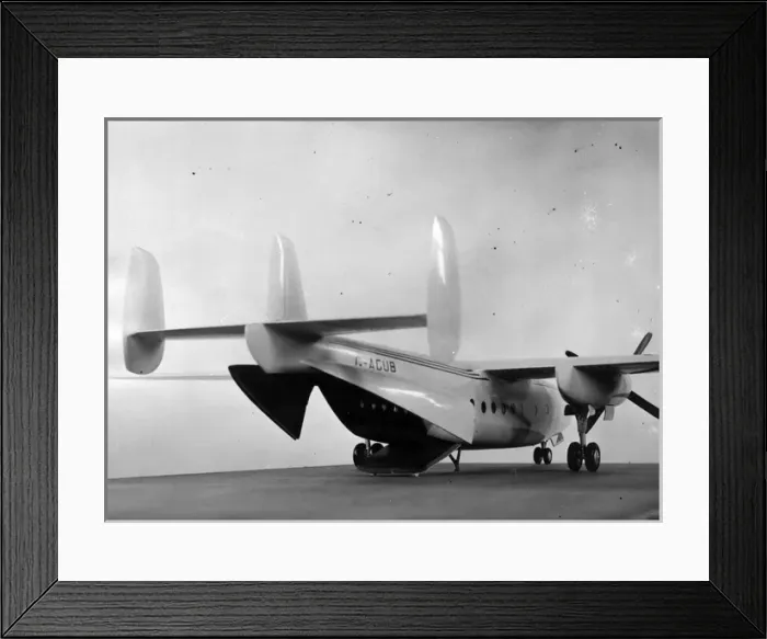 Framed Print : Freighter version of the Airspeed Ambassador Framed Print : Freighter version of the Airspeed Ambassador