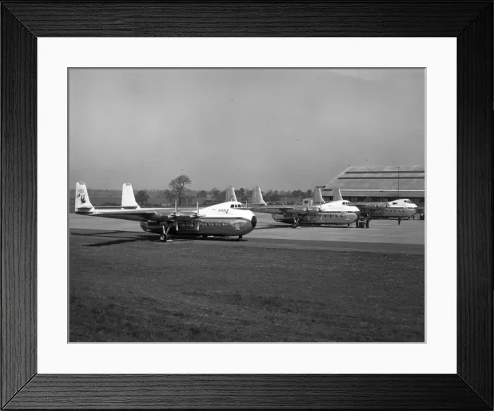 Framed Print : Three Armstrong Whitworth AW650 Argosy Series 100s Framed Print : Three Armstrong Whitworth AW650 Argosy Series 100s