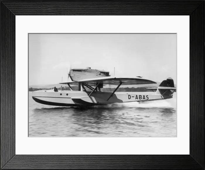 Framed Print : Dornier DoJ IId16aBis Wal D-ABAS Framed Print : Dornier DoJ IId16aBis Wal D-ABAS