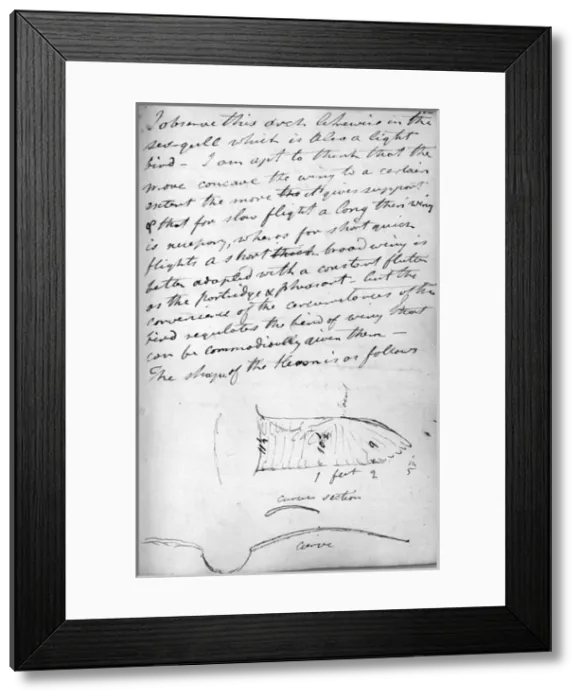 Framed Print : Diagrams of a herons wing Framed Print : Diagrams of a herons wing