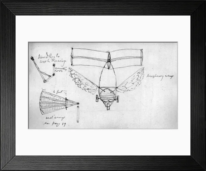 Framed Print : 1849 boy-carrier showing the dihedral Framed Print : 1849 boy-carrier showing the dihedral